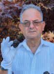 Giuseppe Cristini