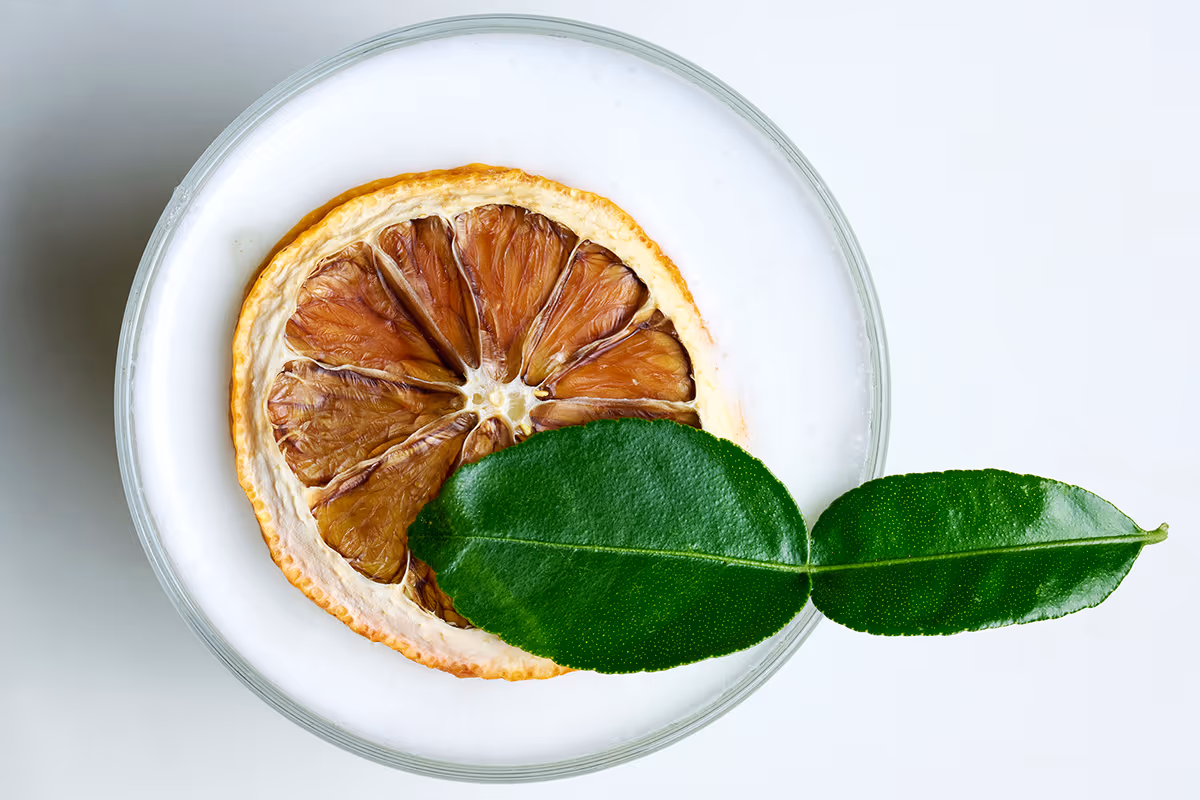Cocktail Fujiko: la ricetta di Andrea Arcaini tra shiso, gin e note tropicali