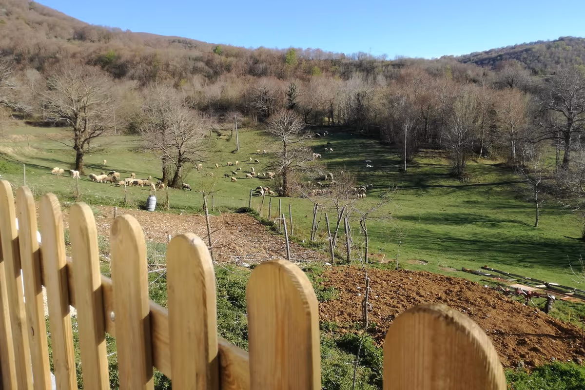 Le colline del Parco del Matese