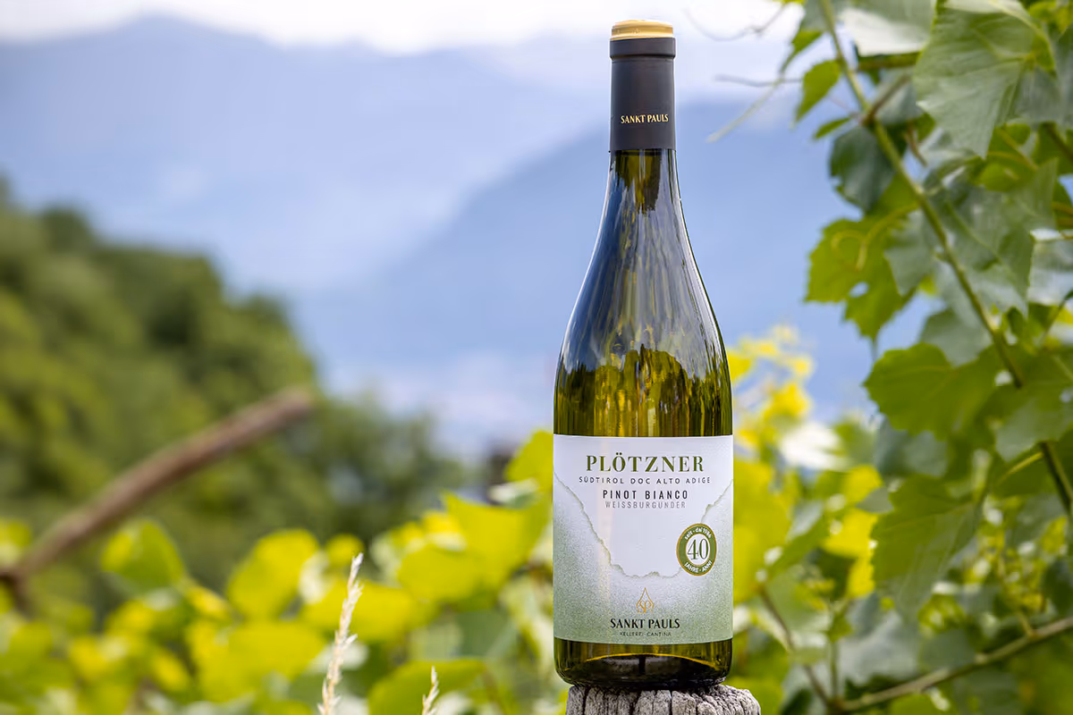 Da un ettaro a 49 mila bottiglie: i 40 anni del Pinot Bianco Plötzner di Sankt Pauls