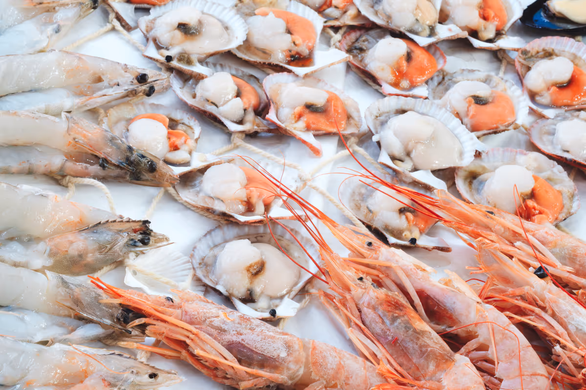 Il crudo non fa parte della cucina italiana tradizionale