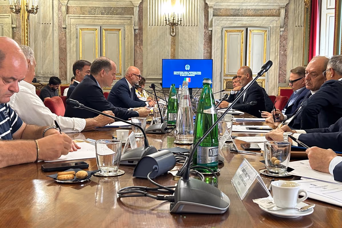 Riso italiano in ginocchio: servono aiuti e più controlli sulle importazioni