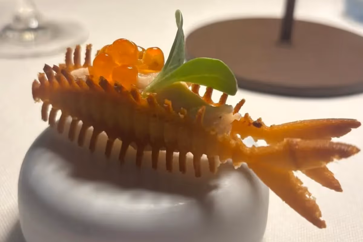 terrazza