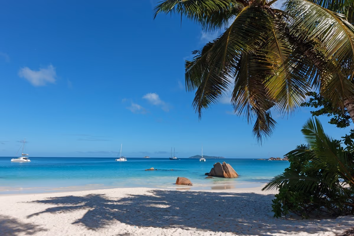 Seychelles, soggiornare nell'Eden si può: tra eco resort e cucina creola