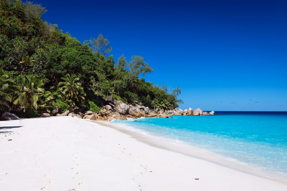 Seychelles, soggiornare nell'Eden si può: tra eco resort e cucina creola
