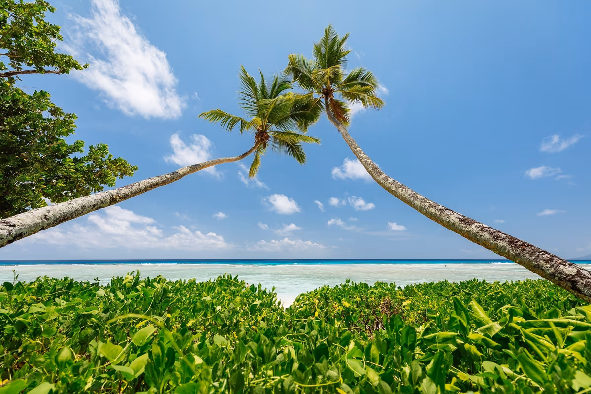 "Natura primordiale e protezione ambientale: le Seychelles puntano su un turismo ecosostenibile per preservare il proprio fragile patrimonio