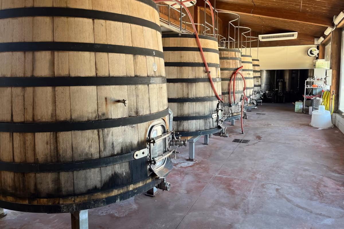 Dal Corleonese all'Etna fino al Val di Noto: quattro cantine siciliane da scoprire