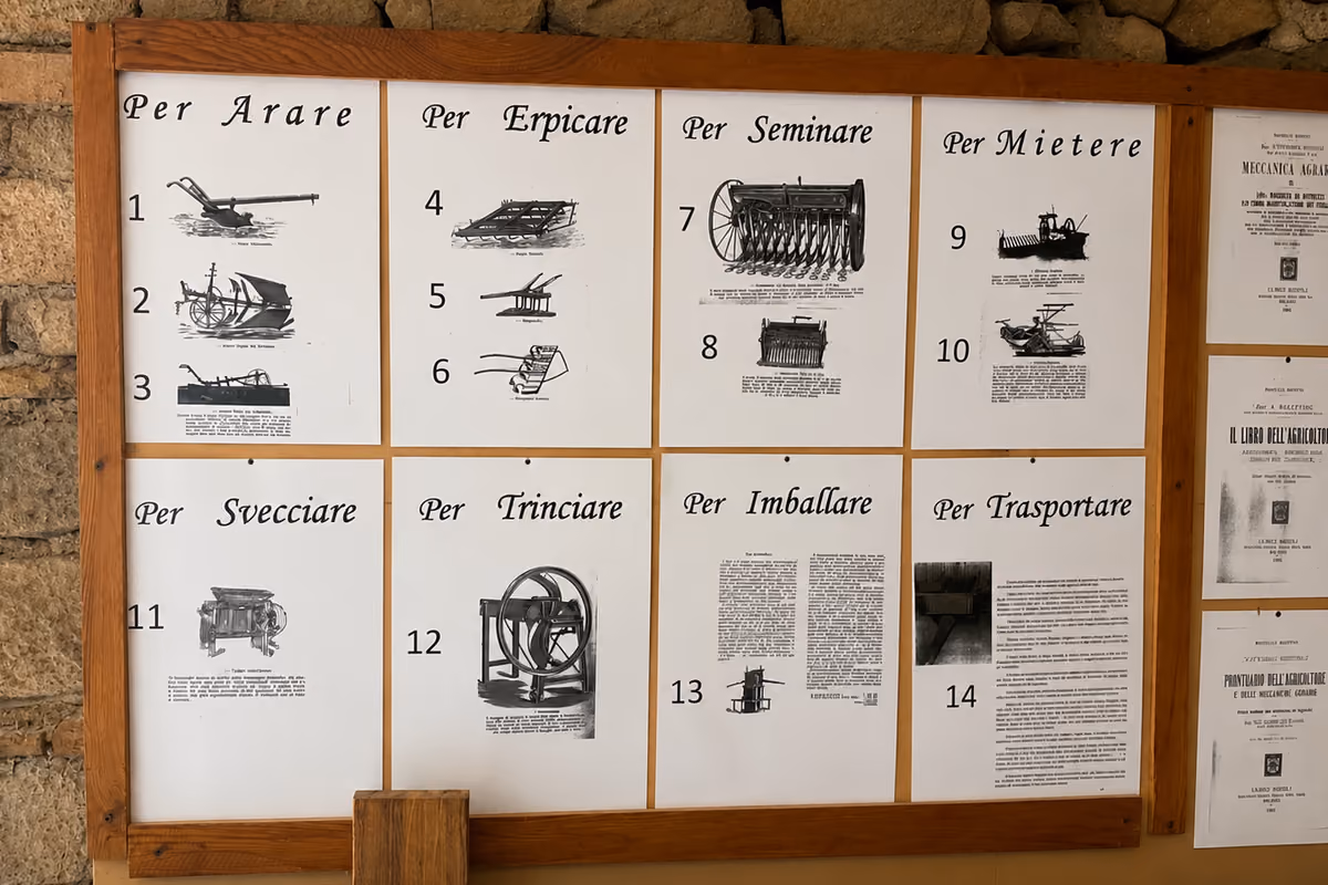 La memoria delle campagne vive negli attrezzi raccolti da Francesco Strampelli