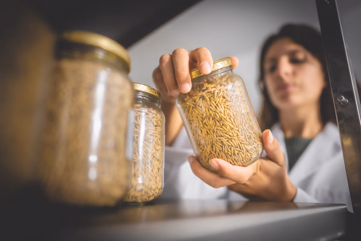 La scelta di cereali è da preferire per i celiaci