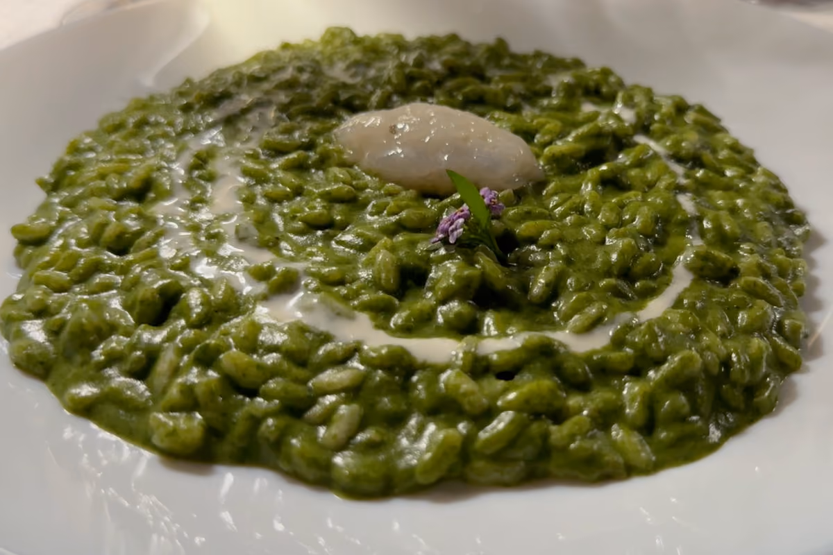 Breschi