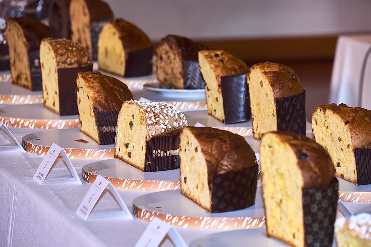 Alcuni dei panettoni in gara al Panettone Day