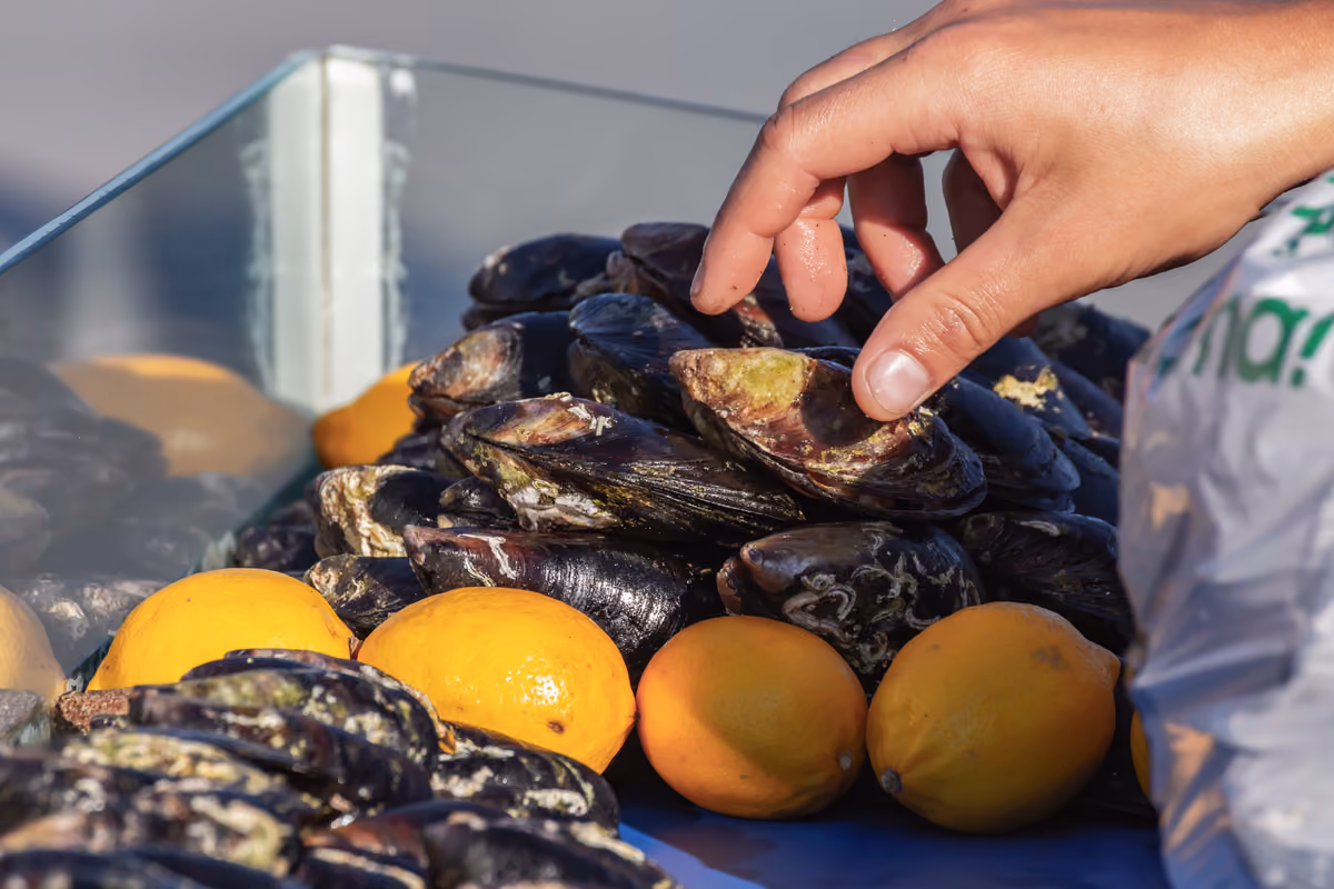 Il succo di limone non elimina i batteri