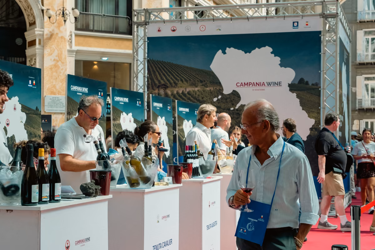 Vino campano, cantine piene e consumi in calo: è tempo di fare sinergia