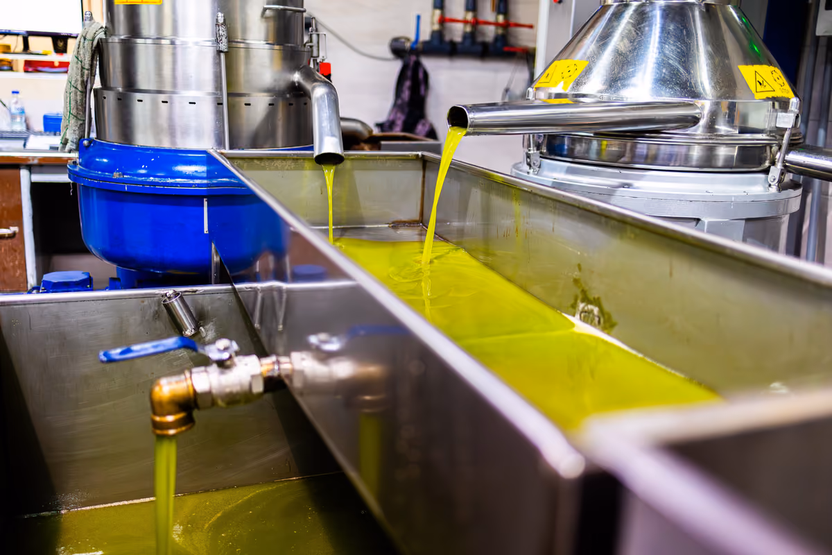 Olio tunisino, export oltre 380mila tonnellate: Italia e Spagna tra i primi mercati