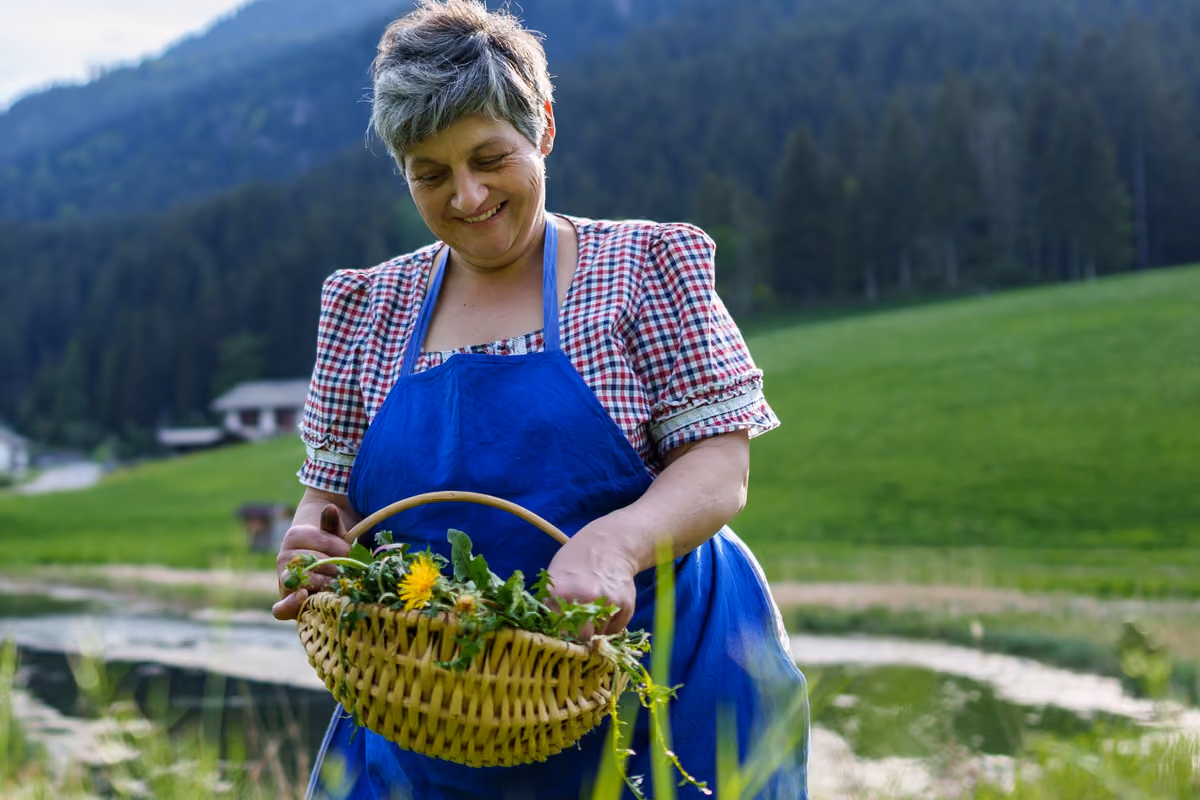In autunno anche il radicchio rosso vale un viaggio in Alta Val Di Non