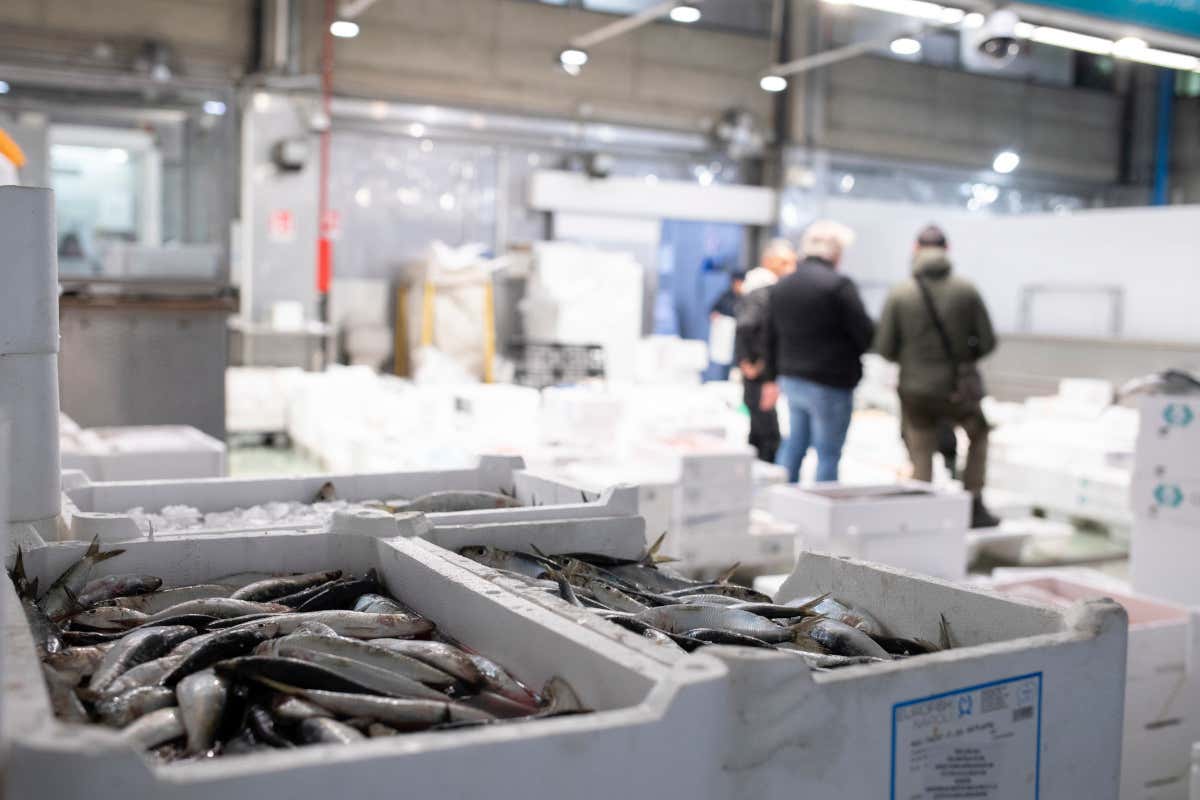 La finestra dedicata a chef e ristoratori permetterà loro una scelta più accurata e qualitativa delle materie prime necessarie alle loro preparazioni