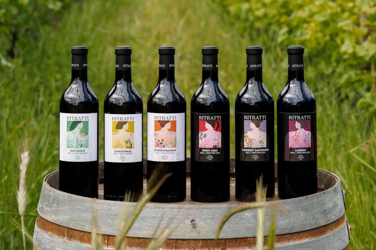 Lavis, un tesoro nascosto in Trentino tra storia, giardini verticali e grandi vini